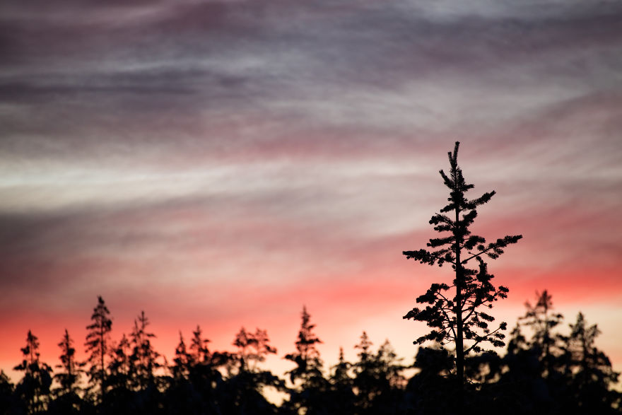 Japanese Photographer Captured Beautiful Winter Lights Of Finland