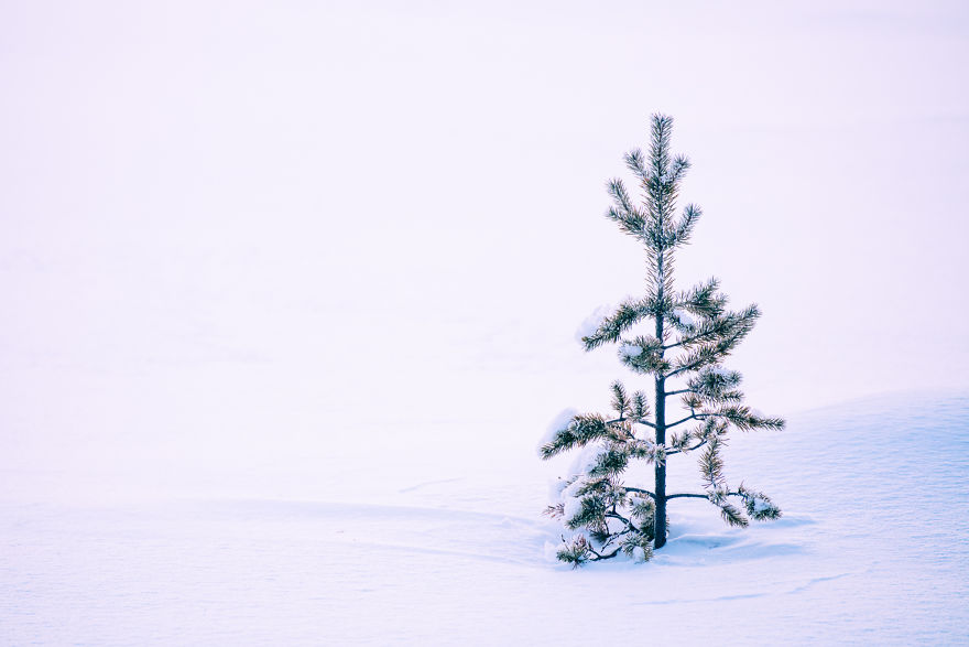 Japanese Photographer Captured Beautiful Winter Lights Of Finland