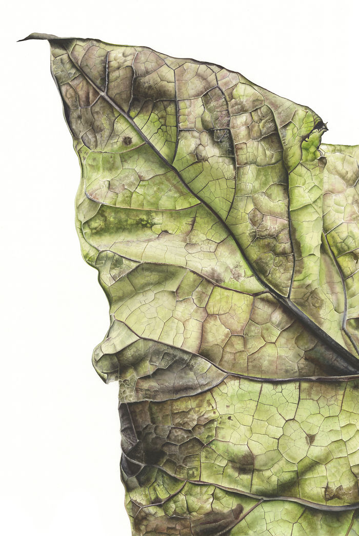 For The Last Two Years, I Have Been Painting Leaves That Tell A Story For The Last Two Years, I Have Been Painting Leaves That Tell A Story