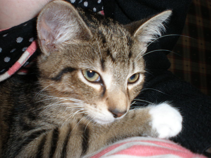 My Best Friend. My Best Friend.