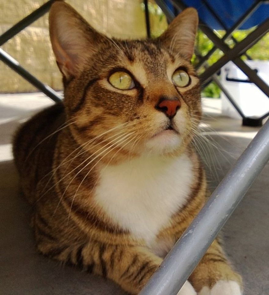 My Best Friend. My Best Friend.