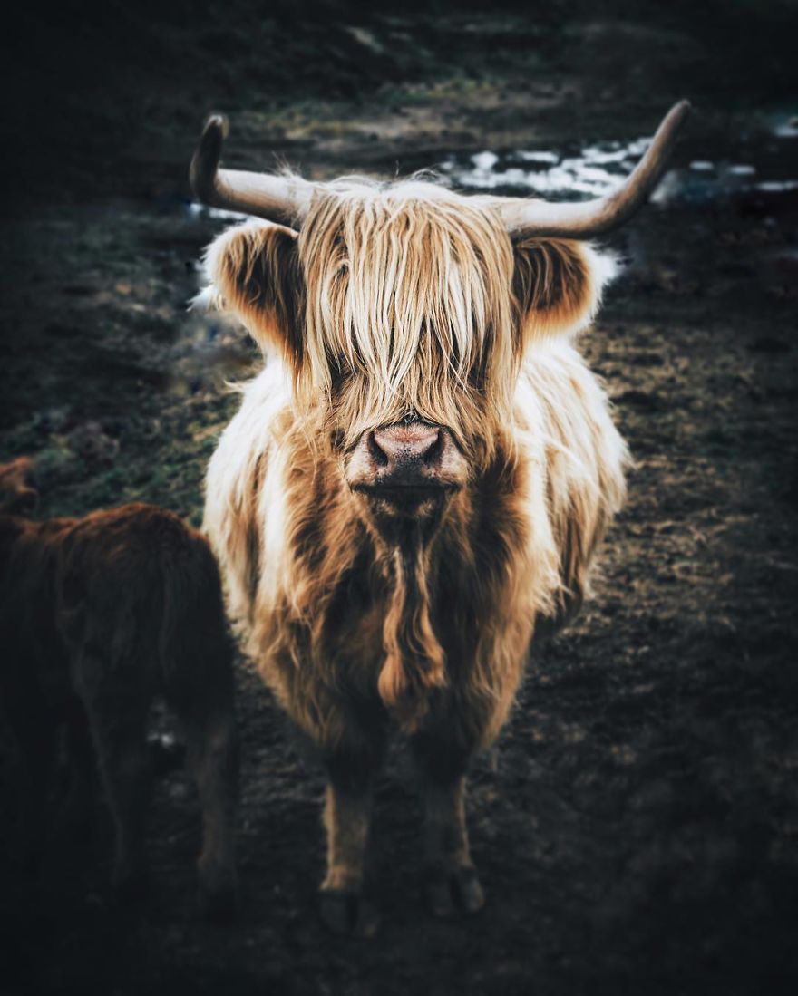 Isle Of Skye, Scotland