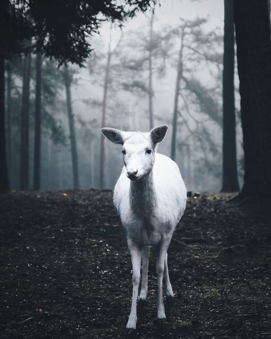 The Franconian Switzerland, Bavaria