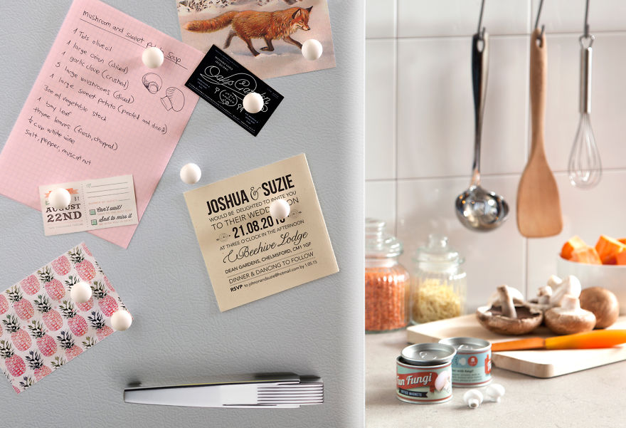 Fun Fungi / Mushroom Magnets