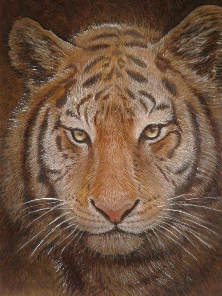 We Made This Passport Cover With A Tiger On It We Made This Passport Cover With A Tiger On It