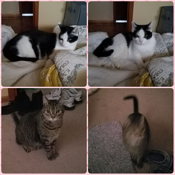 George And Lenny Know They Are Good Boys