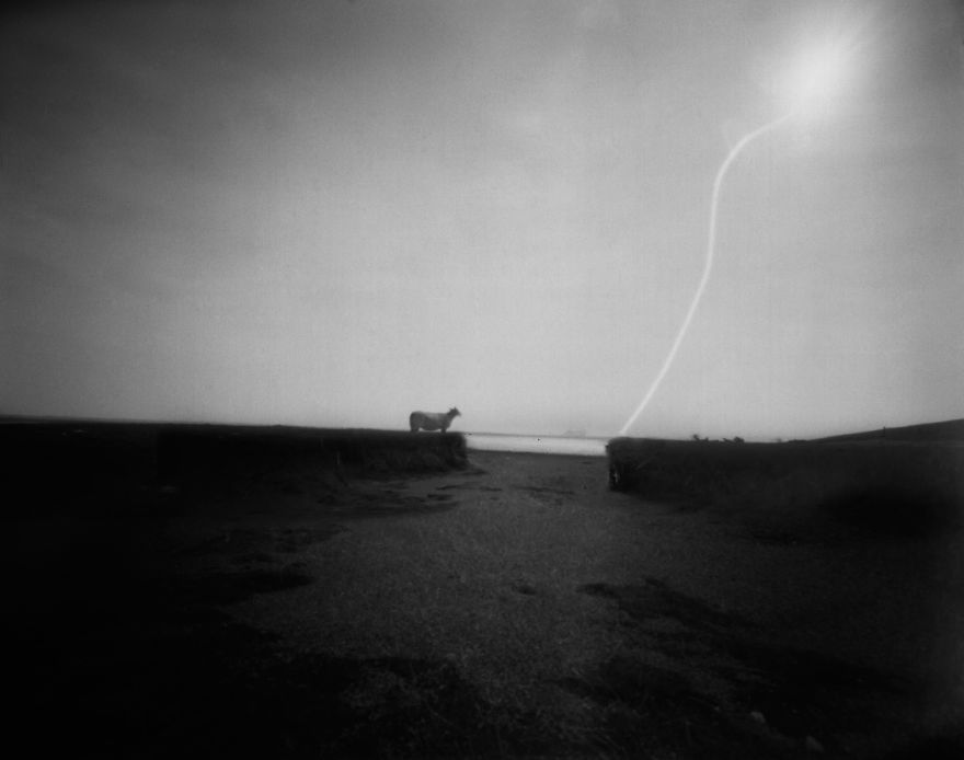 I Made These Images With A Cardboard Box Using Exposure Times Of 48 Hour Or More.