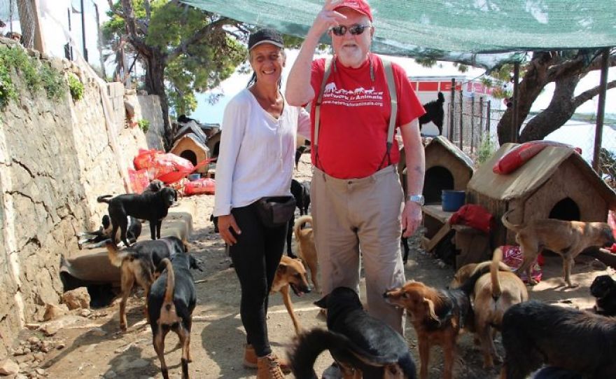 Years Spent Living With Over 300 Dogs On A Hill Above Dubrovnik, Sos Žarkovica Years Spent Living With Over 300 Dogs On A Hill Above Dubrovnik, Sos Žarkovica