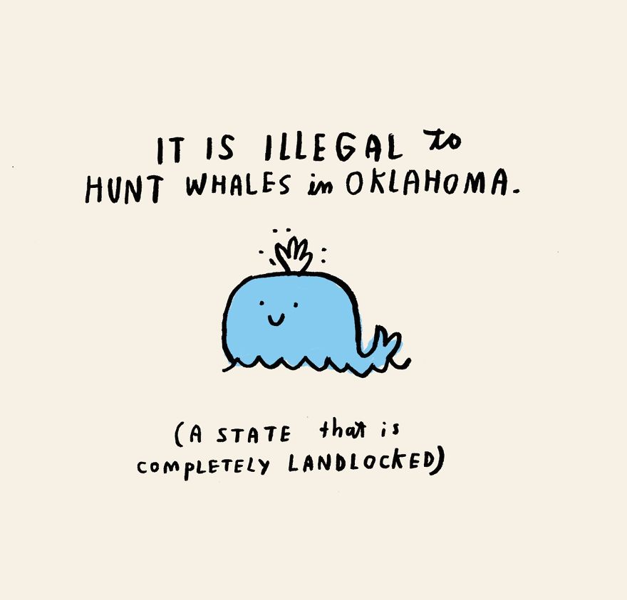 Daily Illustrated Random Facts