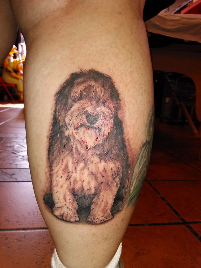 Dog tattoo on a person's leg, featuring a fluffy, realistic design representing one of the best dog tattoo ideas.