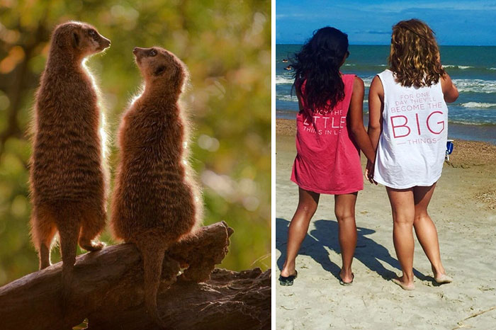 Sorority Girls Pose Like Meerkats