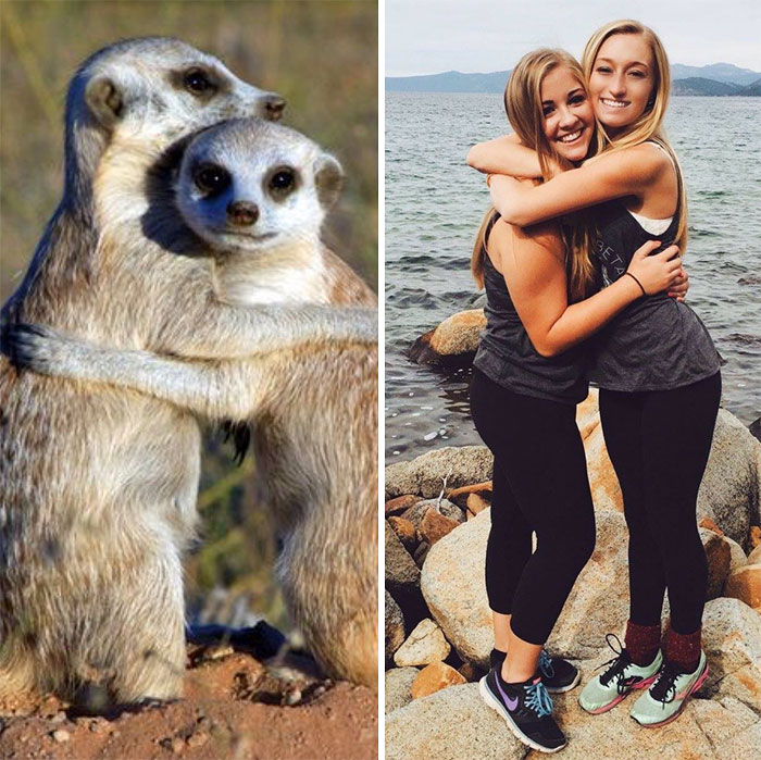 Sorority Girls Pose Like Meerkats