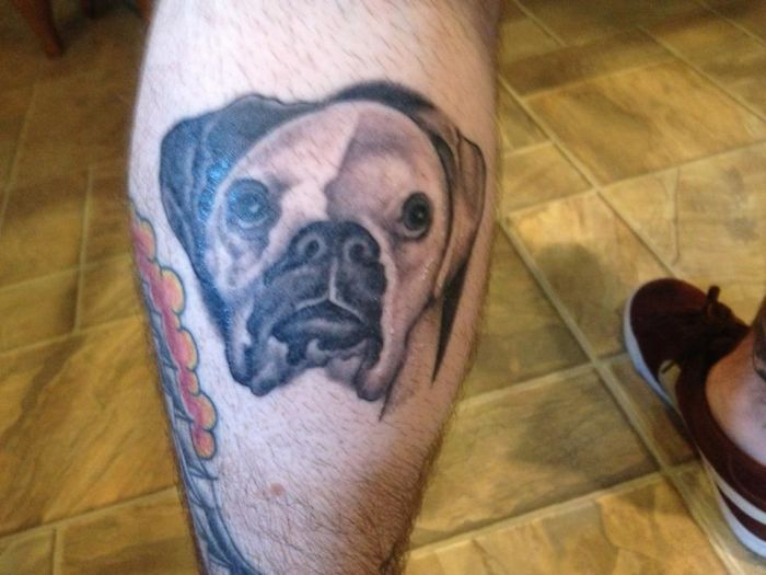 Dog tattoo of a boxer on a person's leg, showcasing realistic detail, perfect for tattoo inspiration.