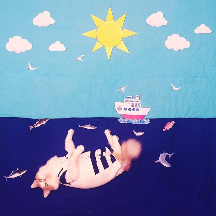 Stories About The Adventures Of A Cat