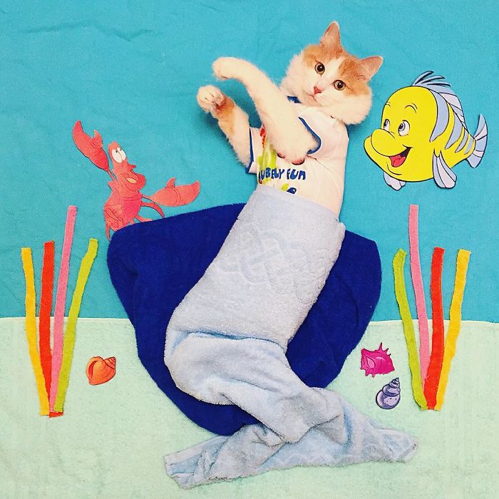 Stories About The Adventures Of A Cat