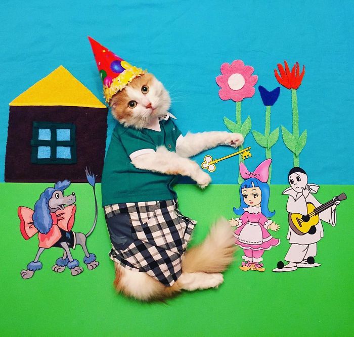 Stories About The Adventures Of A Cat