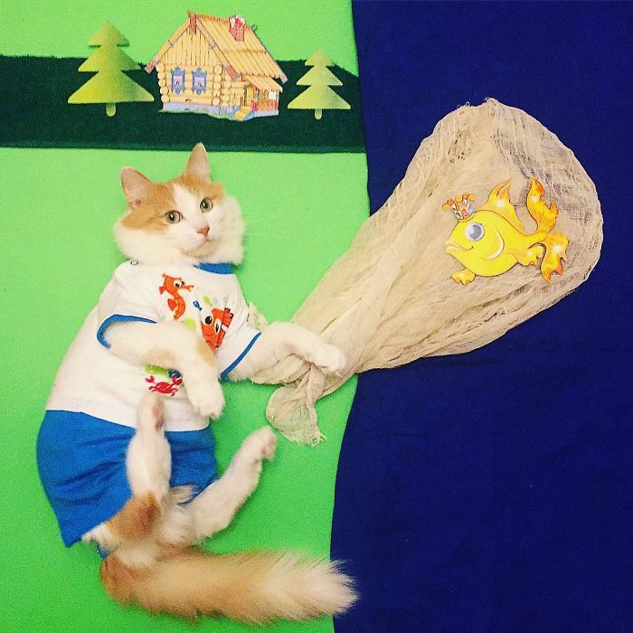 Stories About The Adventures Of A Cat