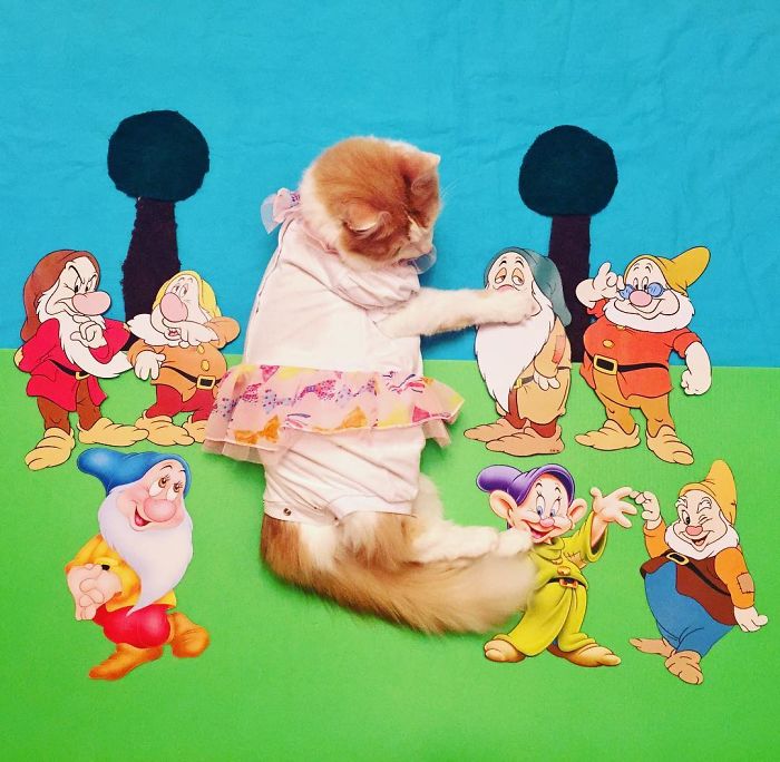 Stories About The Adventures Of A Cat