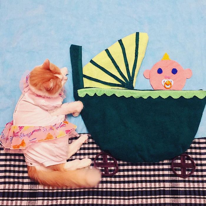 Stories About The Adventures Of A Cat