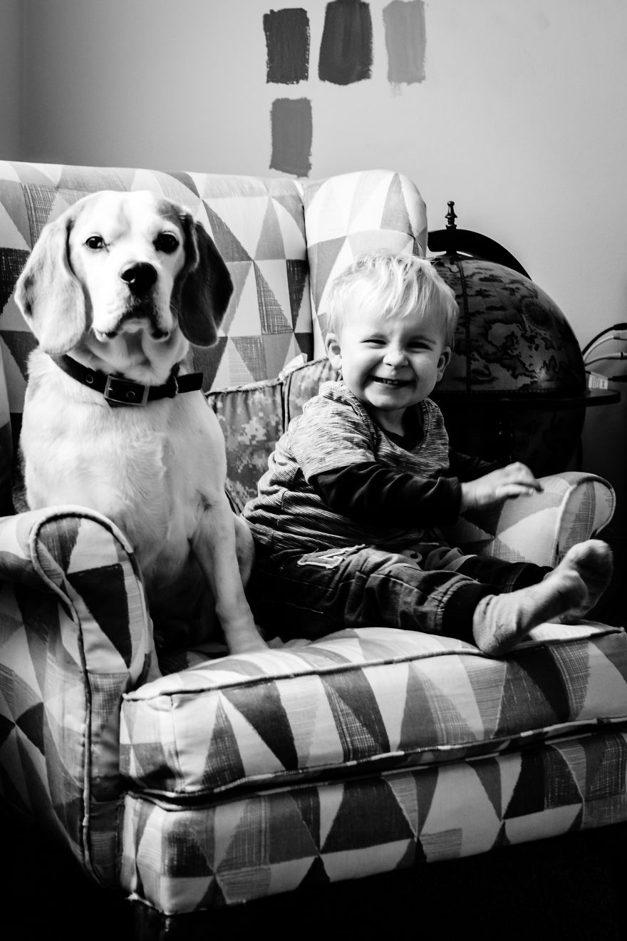 I've Taken A Picture Of My Son And Beagle Every Month For The Last Two Years In The Same Chair