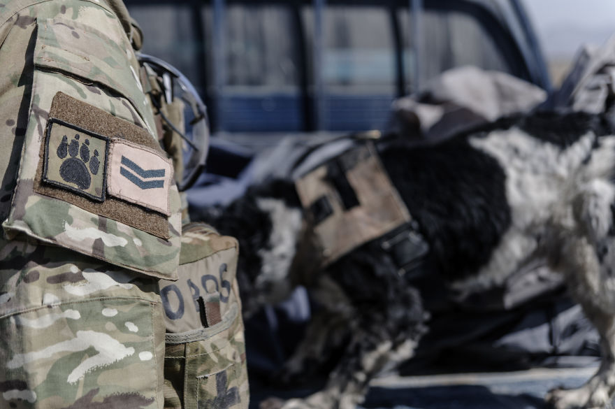 Six Years Ago Today I Had Landed In Afghanistan. I've Been Living There Ever Since Six Years Ago Today I Had Landed In Afghanistan. I've Been Living There Ever Since