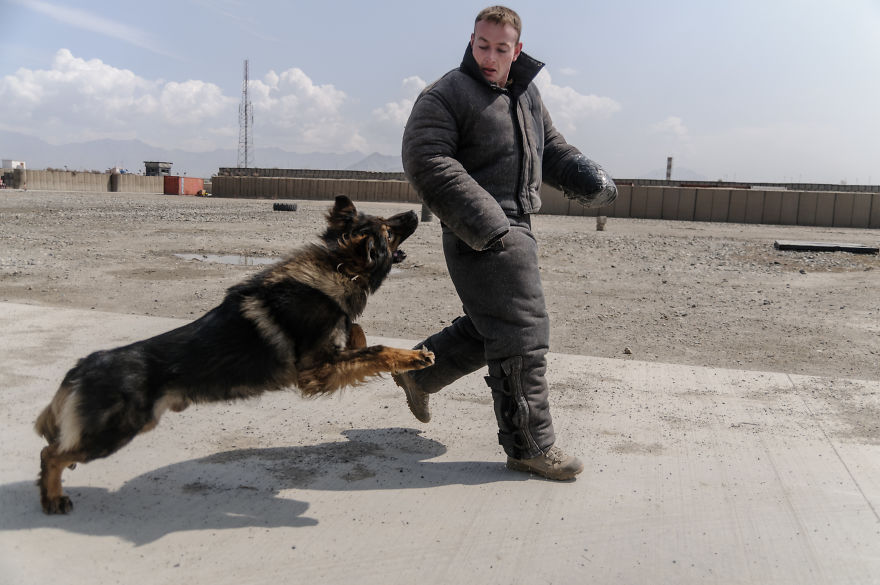 Six Years Ago Today I Had Landed In Afghanistan. I've Been Living There Ever Since Six Years Ago Today I Had Landed In Afghanistan. I've Been Living There Ever Since