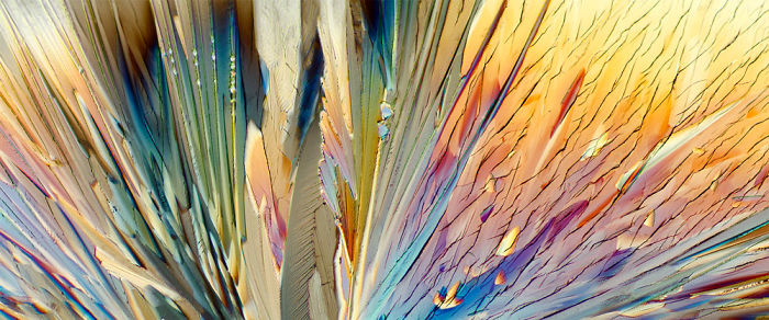 These Colorful Artworks Are Actually Photos Of Microscopic Crystals These Colorful Artworks Are Actually Photos Of Microscopic Crystals