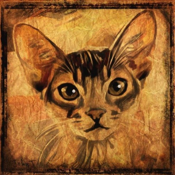 These Fantastic Cat Portraits Are Masterpieces Of Digital Art
