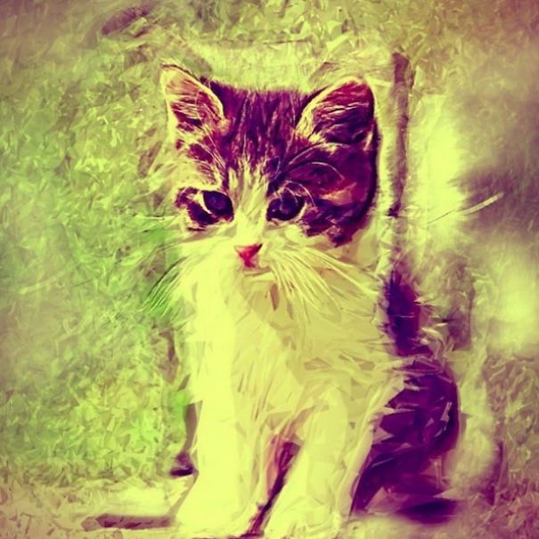 These Fantastic Cat Portraits Are Masterpieces Of Digital Art