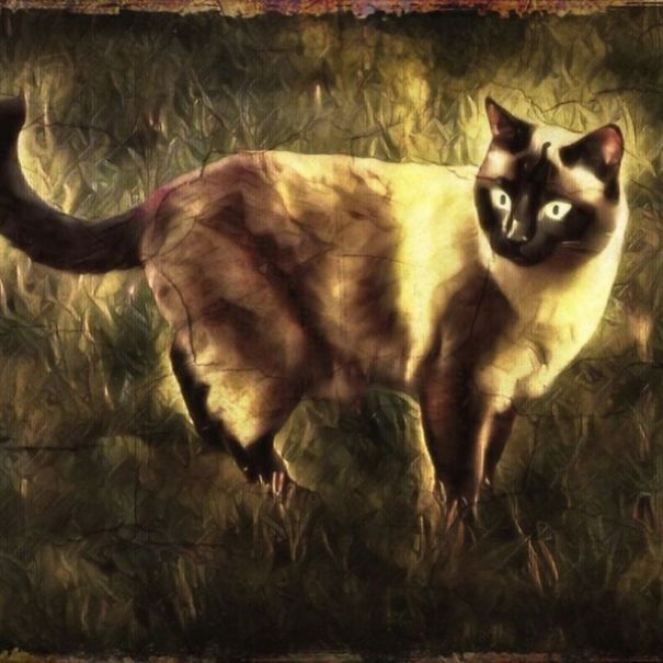 These Fantastic Cat Portraits Are Masterpieces Of Digital Art These Fantastic Cat Portraits Are Masterpieces Of Digital Art