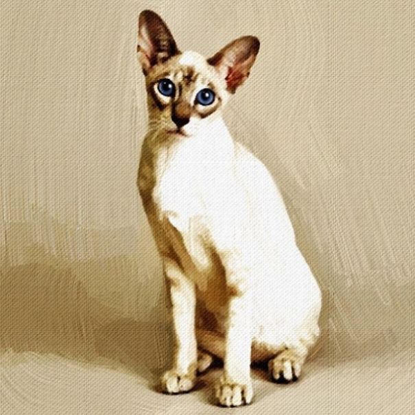 These Fantastic Cat Portraits Are Masterpieces Of Digital Art