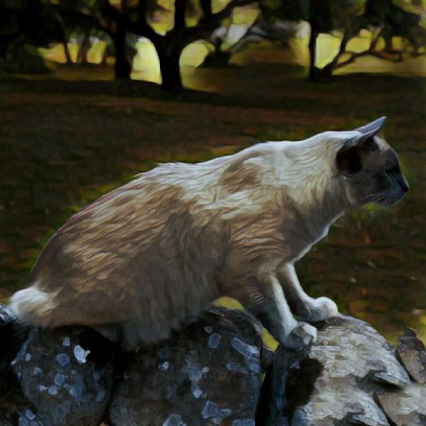 These Fantastic Cat Portraits Are Masterpieces Of Digital Art These Fantastic Cat Portraits Are Masterpieces Of Digital Art