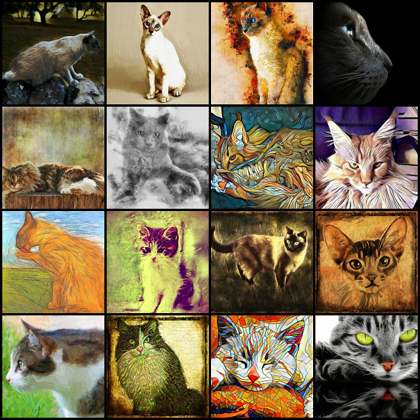 These Fantastic Cat Portraits Are Masterpieces Of Digital Art These Fantastic Cat Portraits Are Masterpieces Of Digital Art