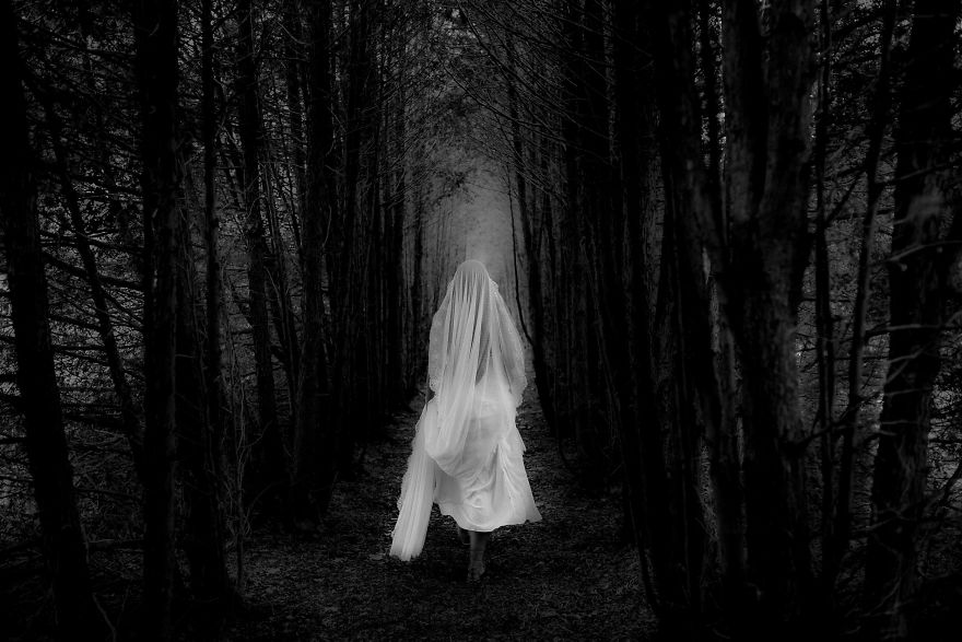 Top 50 Wedding Photos Of 2016