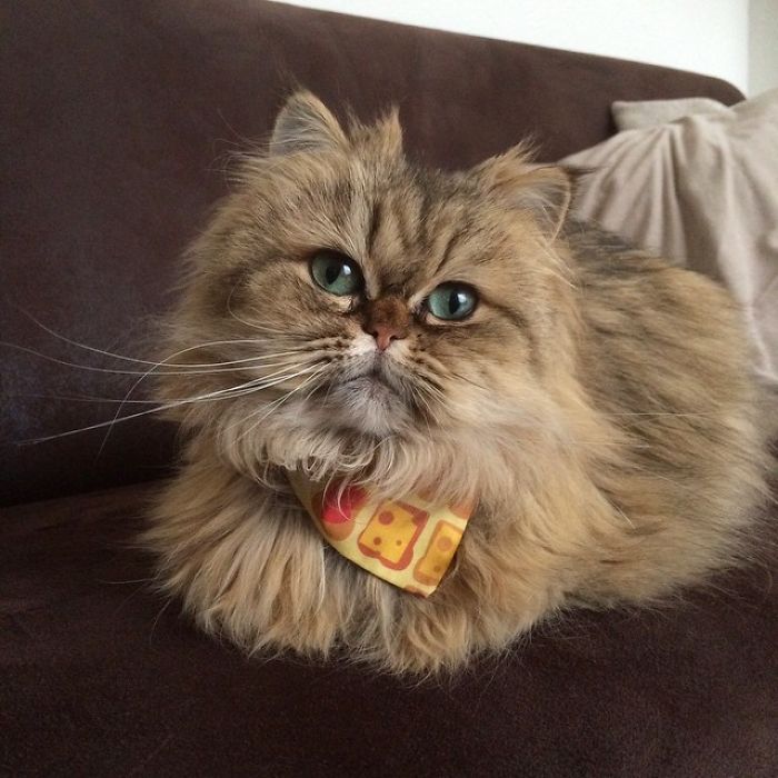 Two Dutch Ladies Who Can Look Right Into Your Soul!