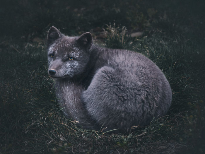 Unbelievable 18-month Adventure In Iceland