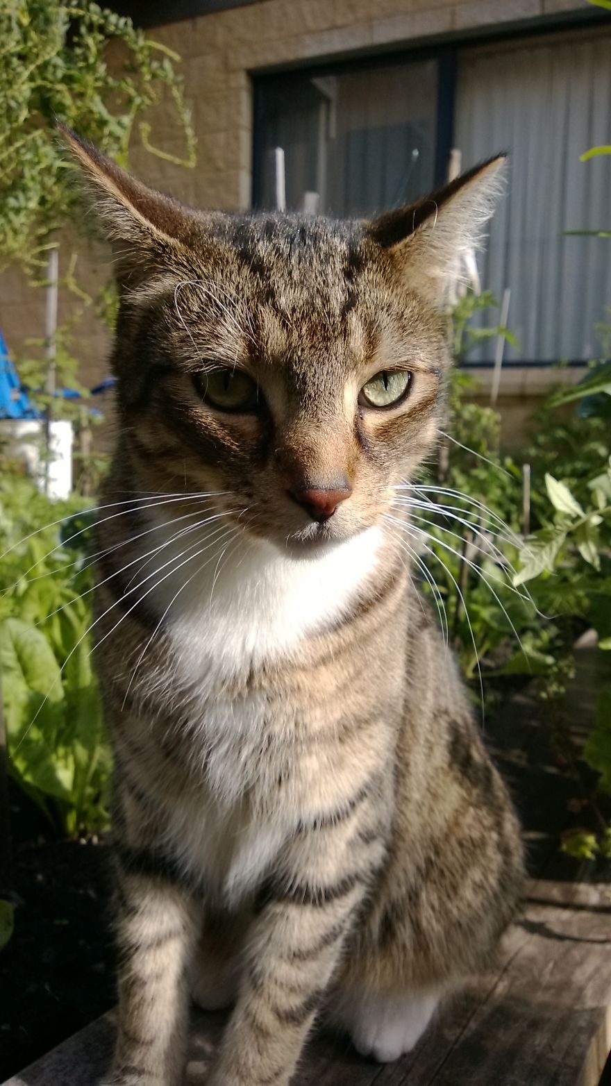 My Best Friend. My Best Friend.