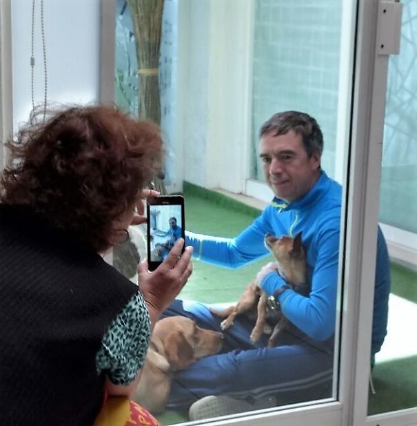 My Parents: "you Can´t Keep Rescuing Dogs" Also My Parents: