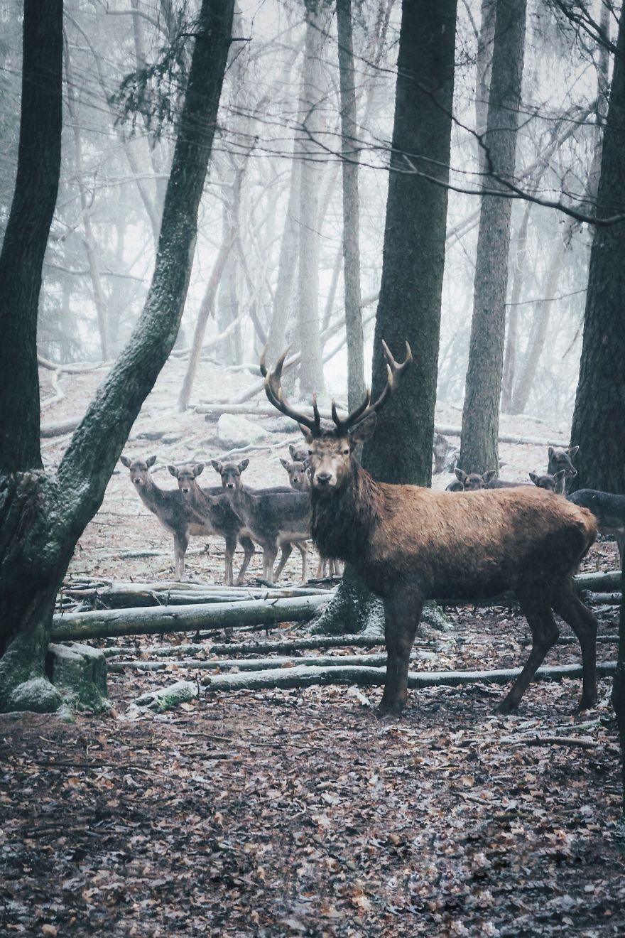 The Whole Squad Lined Up, Franconia, Germany