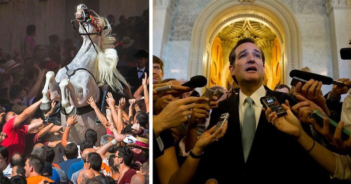 70 Accidental Renaissance Pics That Are Better Than Art History