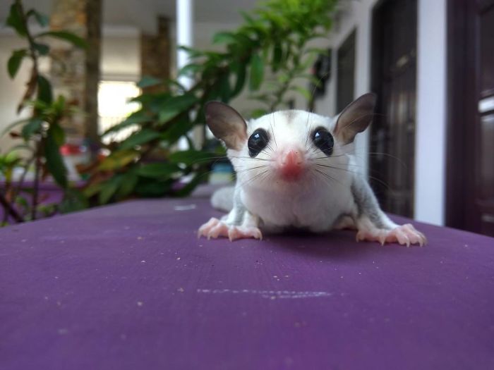 The First Day Of 2017