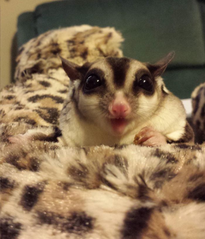 Mfw It Takes Too Long To Get A Dirty Joke