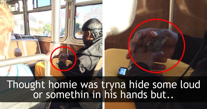 These 101 Of The Most Positive Things That Have Ever Happened On Twitter Are Exactly What The Internet Needs