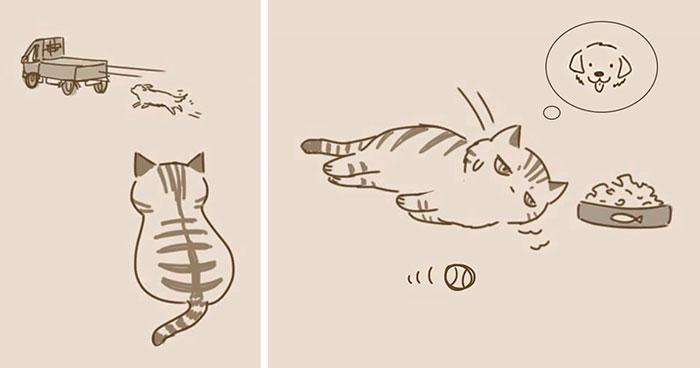 Cat Comic With Unexpected Ending Shows The Other Side Of Cats
