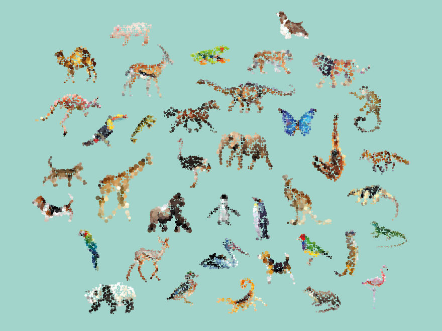 My Gifs Of Animals Emerging From Abstraction My Gifs Of Animals Emerging From Abstraction