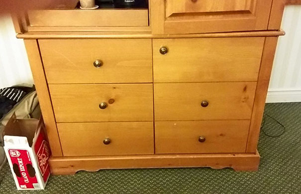 Doctorate In Carpentry