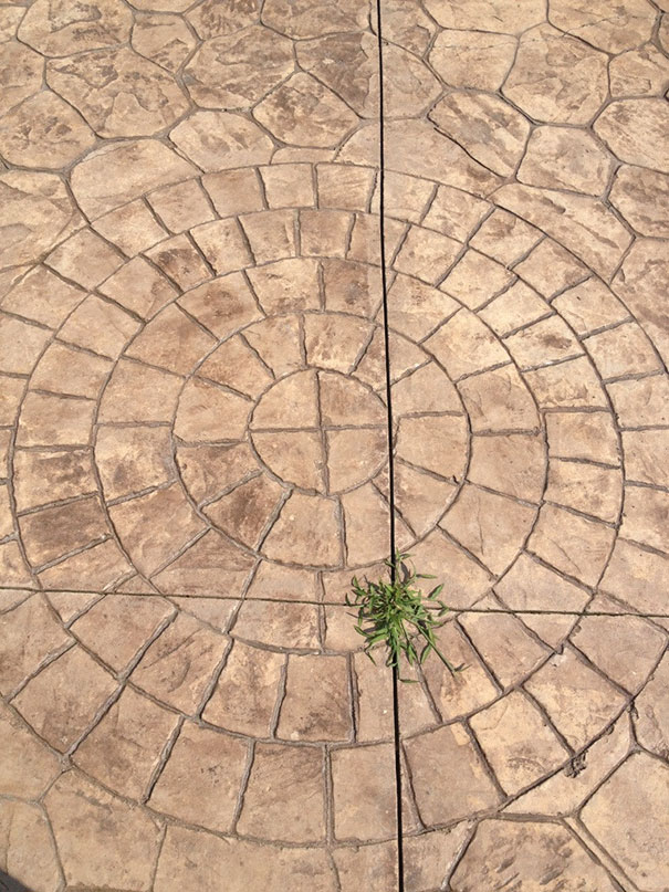 Everything About This Upsets Me