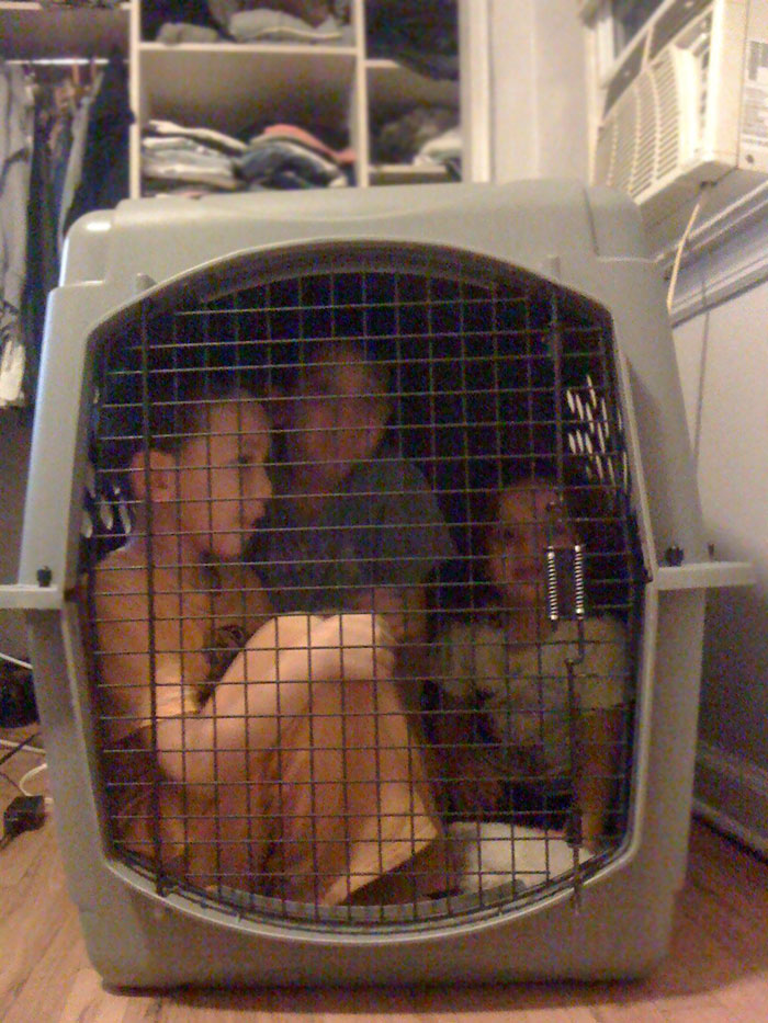 So, My Sister Asked Me To Babysit. I Think I'm Doing A Good Job