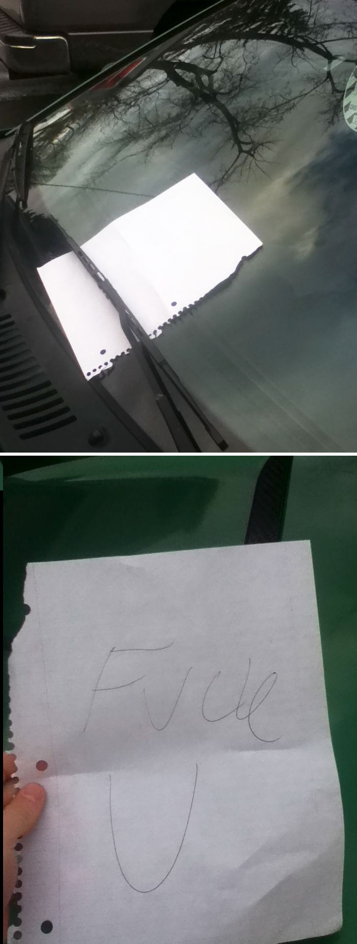 My Little Brother Came Running Inside And Told Me My Car Had A Ticket. Little Bastard