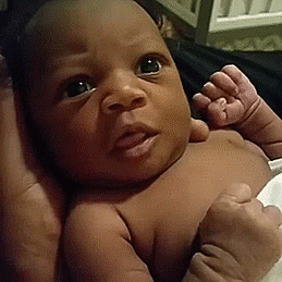 Flipping The Bird From Early Days